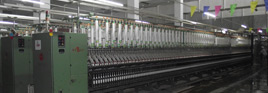 Handan Tenglong Cotton Textile Co.,Ltd